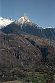 Vista del Pizzo Badile dal sentiero che porta al Pla d'Ort. 